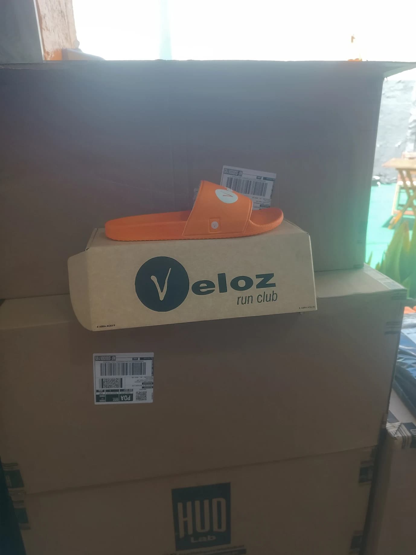 Avaliação de Eduardo Campelo - imagem 1